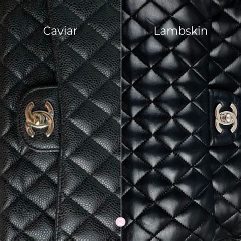 caviar vs lambskin